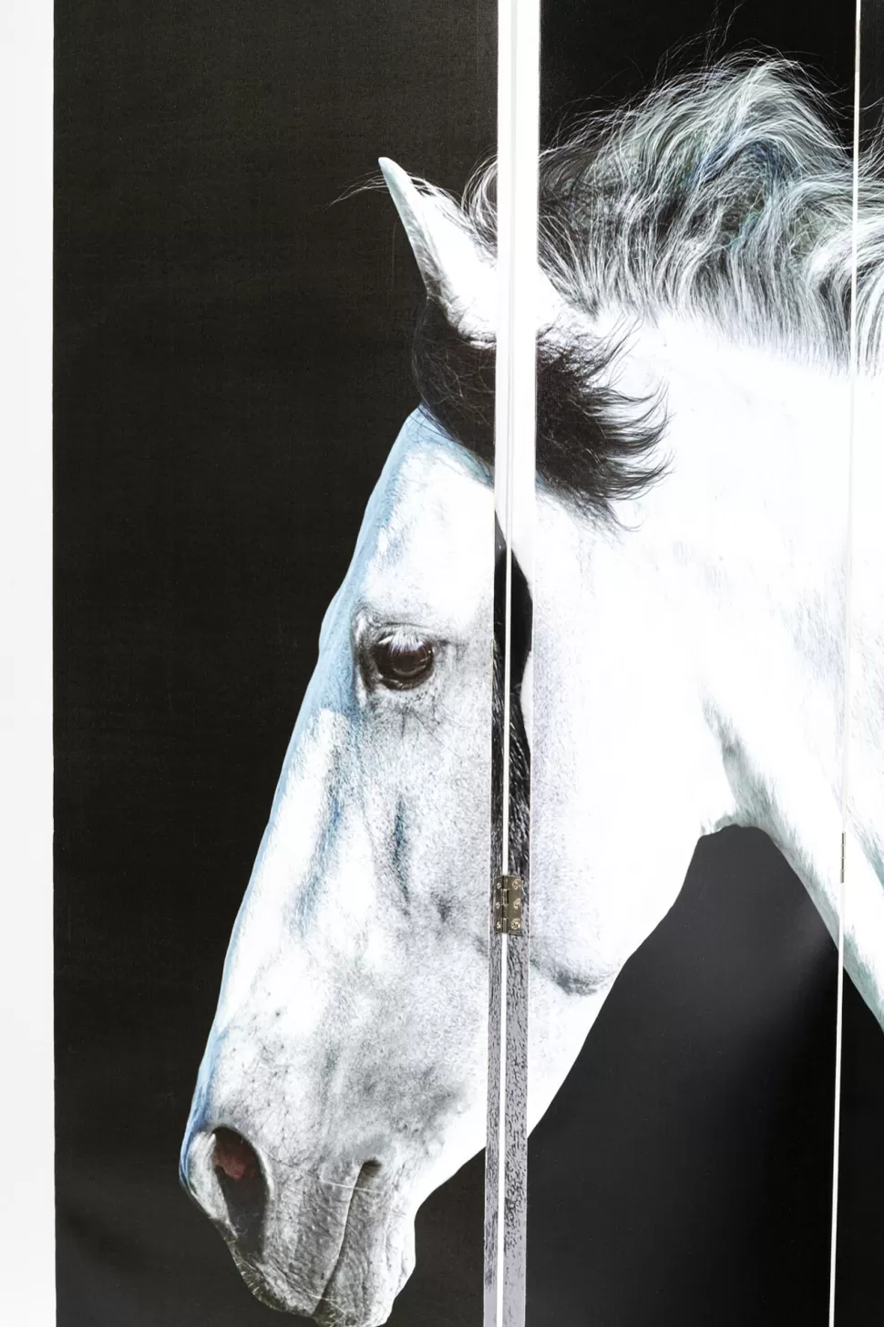 Parawany-KARE Design Parawan Beauty Horses 160x180 Cm