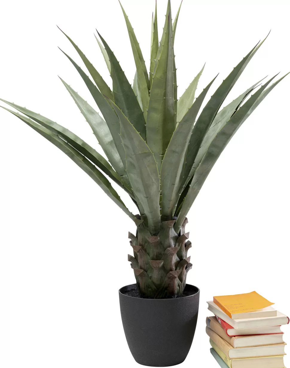 Rośliny Dekoracyjne-KARE Design Roślina Sztuczna Dekoracyjna Do Salonu Agawa 85 Cm