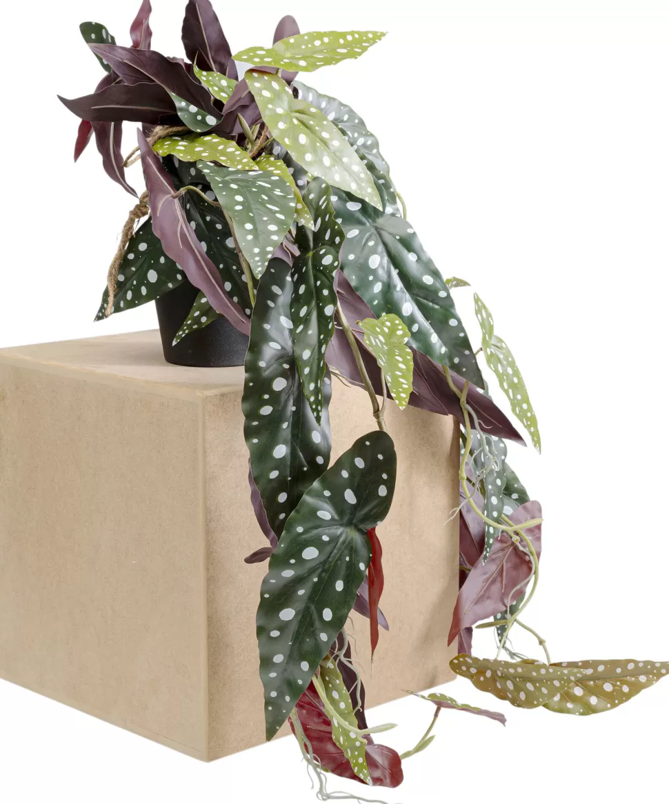 Rośliny Dekoracyjne-KARE Design Roślina Sztuczna Do Salonu Begonia 45 Cm