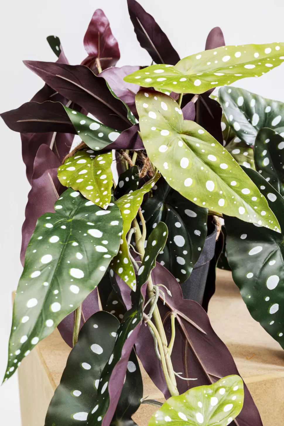 Rośliny Dekoracyjne-KARE Design Roślina Sztuczna Do Salonu Begonia 45 Cm